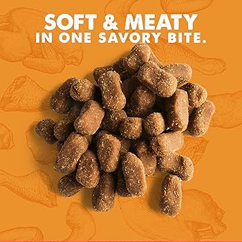 Cloud Star Wag More Bark Less Meat Cravers Soft Chews Dog Treats, Chicken, 5 oz Bag