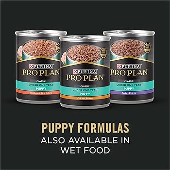 Purina Pro Plan Sensitive Skin & Stomach Puppy Lamb & Oatmeal, 24 lb Bag