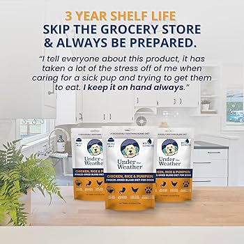 Under the Weather Chicken, Rice & Pumpkin with Electrolytes - Bland Diet for Dogs - 6oz Pouch