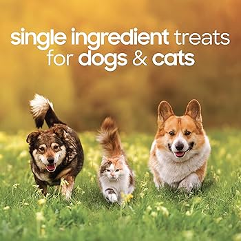 Smallbatch Freeze Dried Beef Liver Dog & Cat Treats, 4oz - Single Ingredient, High Protein