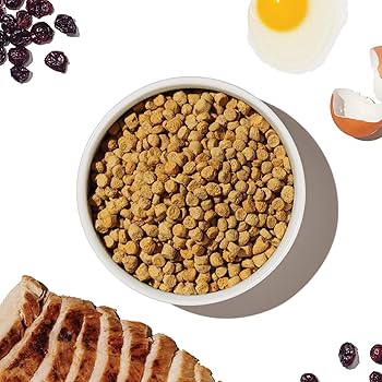 The Honest Kitchen Grain Free Chicken Whole Food Clusters Dry Cat Food