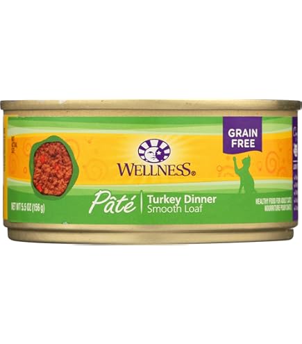 Wellness Complete Health Turkey Pate Wet Cat Food, 5.5 oz Can