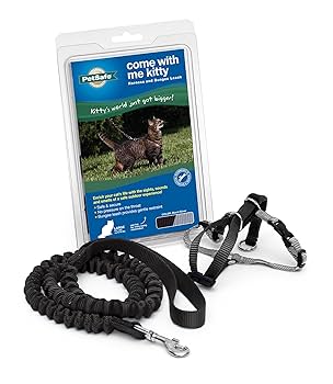 PetSafe Come With Me Kitty Harness and Bungee Leash, Large, Black
