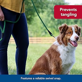 Coastal Pet Rope Dog Leash 6 ft Teal - Soft Braided Nylon Lead with Snap Swivel Hook