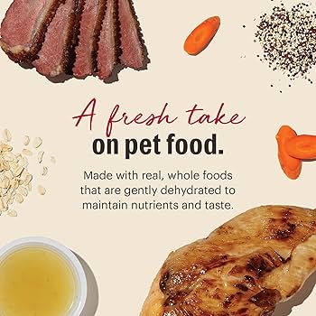 The Honest Kitchen Gourmet Grains Chicken & Duck Recipe Dehydrated Dog Food, 10 lb Box