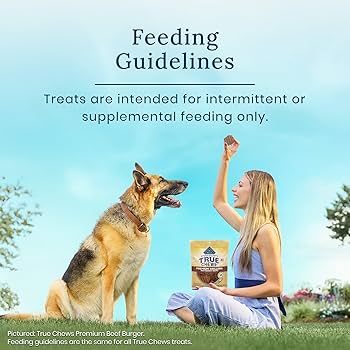 Blue Buffalo True Chews Premium Jerky Cuts Chicken Dog Treats, 12 oz Bag