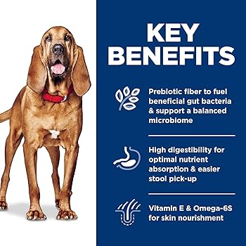 Hill's Science Diet Sensitive Stomach & Skin, Large Breed, Adult, Chicken Recipe, Dry Dog Food, 30 lb Bag