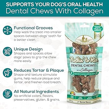 Nothin' To Hide Dental Wave 3" Beef Dog Treats - 12 Pack, Gluten-Free Dental Chews with Collagen