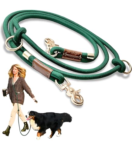 PetSafe Sport Leash 3/4 inch - Hand Wrap Handle - Dog Leash for Running, Walking & Training