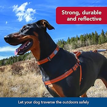 Coastal Pet K9 Explorer Reflective Dog Collar, Adjustable 8-12", 5/8" Width