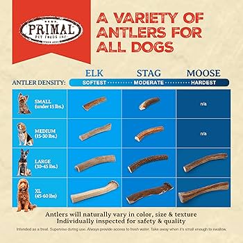 Primal Stag Antler XL Dog Chew - Naturally Shed, Long Lasting, Extra Large Size