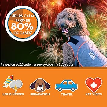 ThunderShirt Sport Dog Anxiety Vest - Platinum, Small (15-25 lbs)