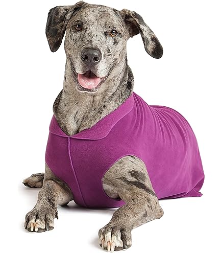 Gold Paw Stretch Fleece Dog Shirt - Eggplant - Size 10