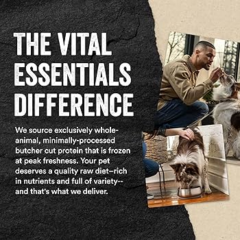 Vital Essentials Raw Beef Protein Mix-In Ground Dog Food Topper, 6 oz