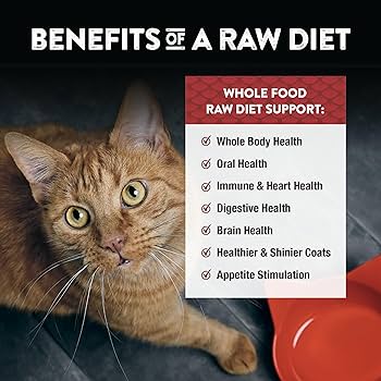 Northwest Naturals Freeze Dried Cat Nibbles Beef & Trout 11 oz