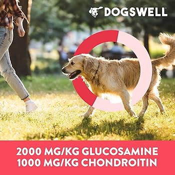 Dogswell Soft Strips Hip & Joint Dog Treats - Duck - 10 oz