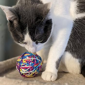 Ethical Pet Spot Sew Much Fun Yarn Ball Cat Toy, 2.5 Inch, 2-Pack, Multi-Color
