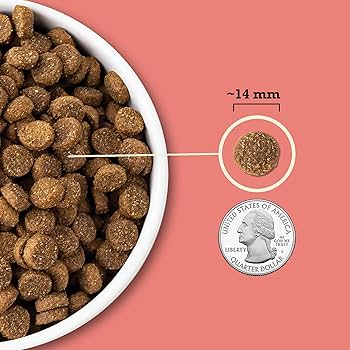 ACANA Wholesome Grains Red Meat Recipe Dry Dog Food, 22.5 lb Bag