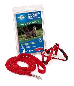 PetSafe Come With Me Kitty Harness & Bungee Leash - Large - Red