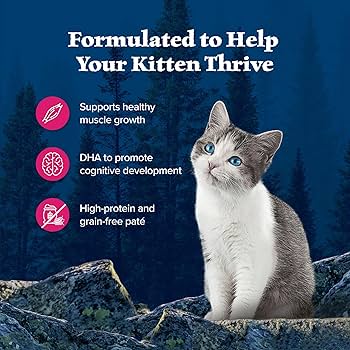 Blue Buffalo Wilderness Kitten Salmon Pate, Grain-Free Wet Cat Food, 3 oz Cans (24 Pack)