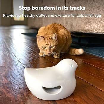 PetSafe Peek-A-Bird Electronic Cat Toy Motion Activated Teaser
