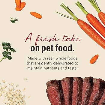 The Honest Kitchen Dog Whole Grain Beef 4lb Box