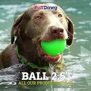 Ruff Dawg Ball - Durable Solid Rubber Dog Toy, Assorted Neon Colors, Small/Medium/Large, Floats, Bounces, Made in USA