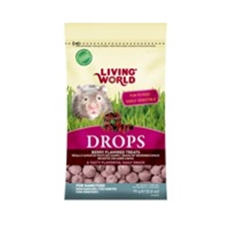Living World Hamster Treat 2.6oz  Field