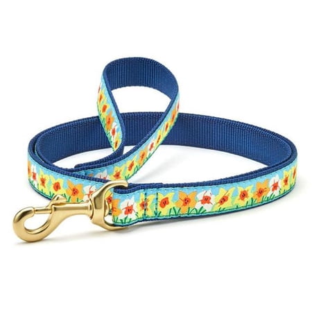 Up Country DAFSBLL 6 ft. Small Breed Daffodil Lead for Pet