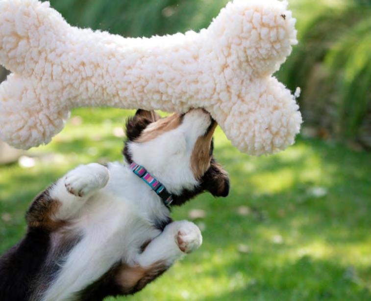 HuggleHounds Knottie Wee Dottie Cow Dog Toy - Plush, Durable Squeaky Toy