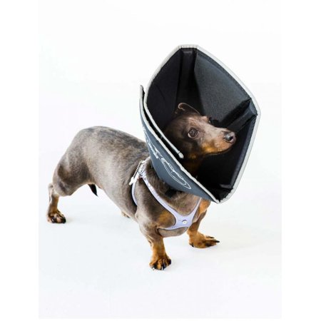 All Four Paws Comfy Cone - Black, Small/Long - Soft Pet Recovery Collar