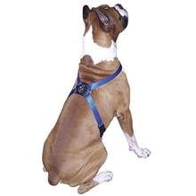 Medium (3/4" x 24-30") Coastal Pet Size Right Nylon Adjus...