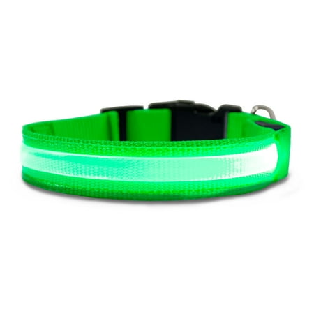 FurHaven LED Safety Pet Collar