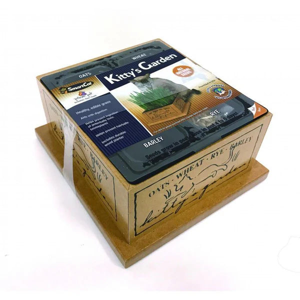 Pioneer Pet SmartCat Kitty's Garden Edible Grass Planter - Cat Grass Kit