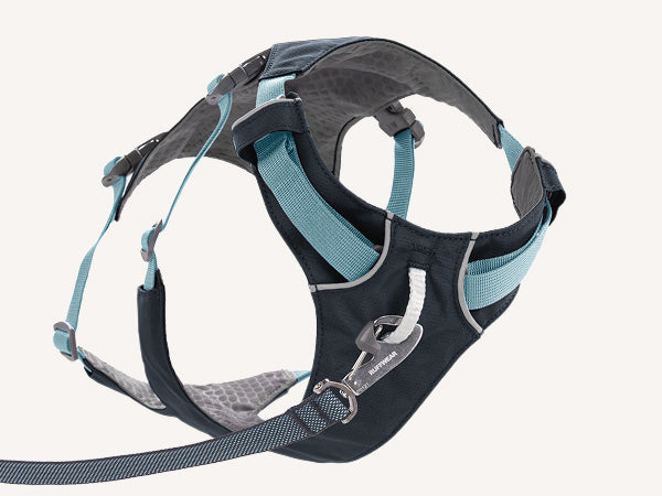 Ruffwear Flagline Dog Harness - Lightweight, Reflective, No-Pull Lift Harness