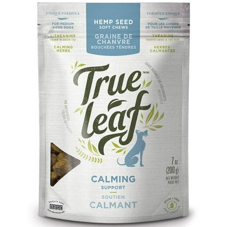 True Leaf Pet True Leaf Hemp Calming Chews 200g (B07X1TDSNH)