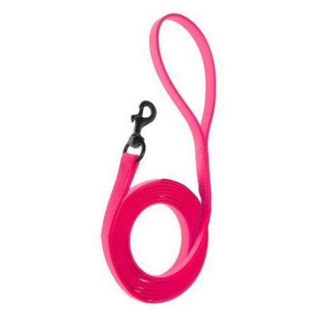 Dogline Biothane Waterproof 6ft Dog Leash - Strong Coated Nylon, Odor-Proof