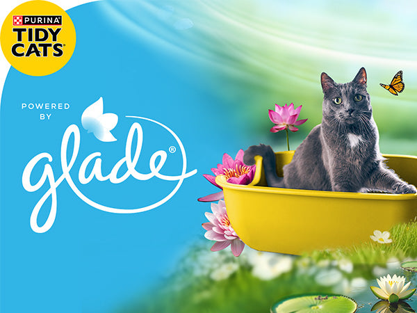 Purina Tidy Cats Clumping Litter Glade Clear Springs Multi-Cat 35lb Pail