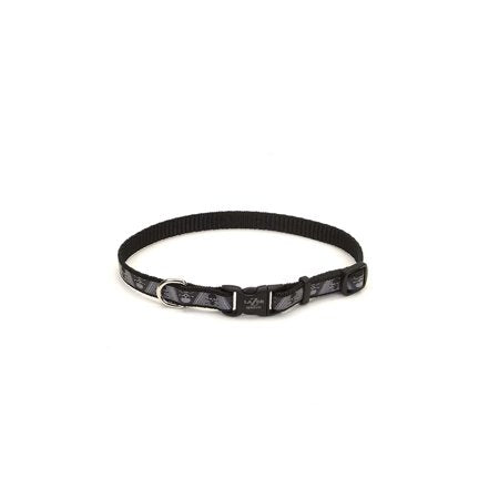 Lazer Brite Dog Collar