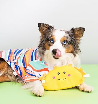 ZippyPaws NomNomz Taco Plush Dog Toy - Squeaky Food Toy for Dogs