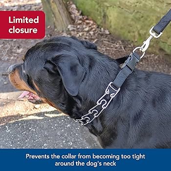 Coastal Pet Titan Easy-On Dog Prong Training Collar with Buckle, Black, 2.0mm x 14"