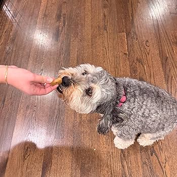 Exclusively Dog Best Buddy Bones Training Treats - Chicken Flavor - 5.5oz Bag