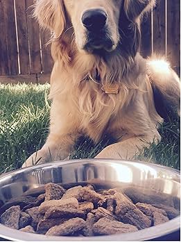 Plato Organic Chicken Dog Treats - Real Chicken Strips, 16 oz