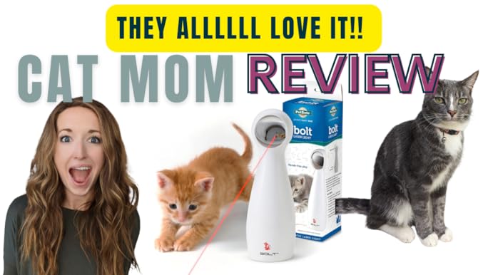 PetSafe Dancing Dot Laser Cat Toy - Interactive Automatic Playtime