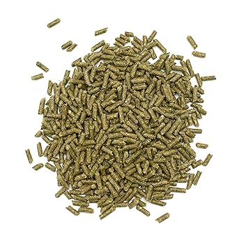 Oxbow Essentials Senior Rabbit Food - High Fiber, Vitamin & Mineral Rich, Made in USA - 4 lb Bag