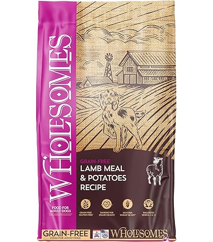 Wholesomes Beef Meal & Rice Recipe Adult Dry Dog Food, 40 lb