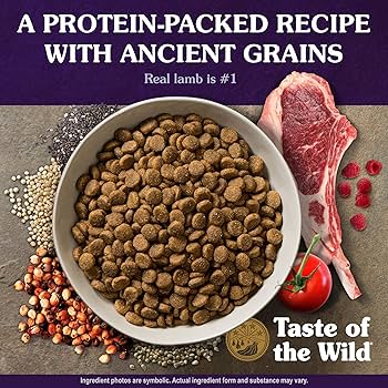 Taste of the Wild Ancient Mountain with Ancient Grains Roasted Lamb Dry Dog Food, 14 lb
