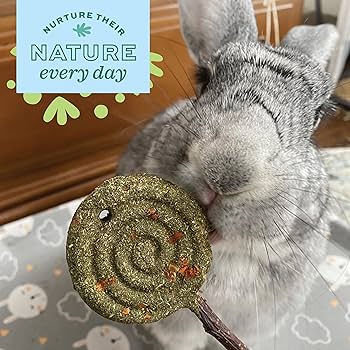 Oxbow Enriched Life Timothy Apple Lollipop - Small Animal Treat