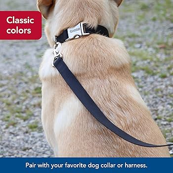 Coastal Pet Single-Ply Dog Leash, 5/8" x 6 ft, Hunter Green - Training Lead