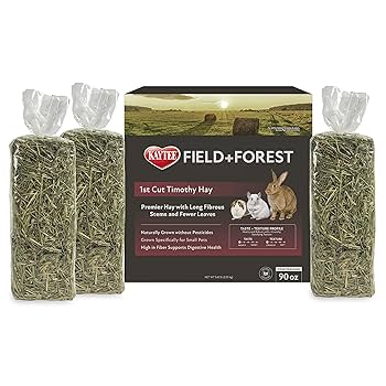 Field + Forest 1st Cut Timothy Hay - 90 oz Small Animal Food (Kaytee)